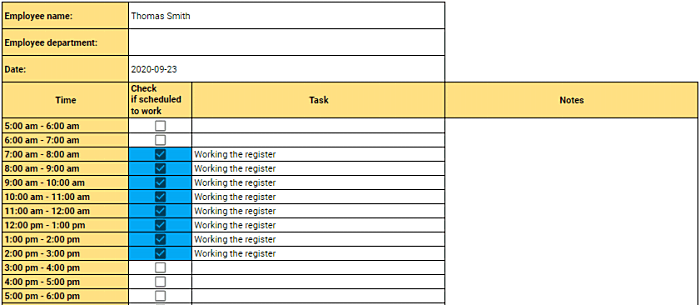 Daily Work Schedule