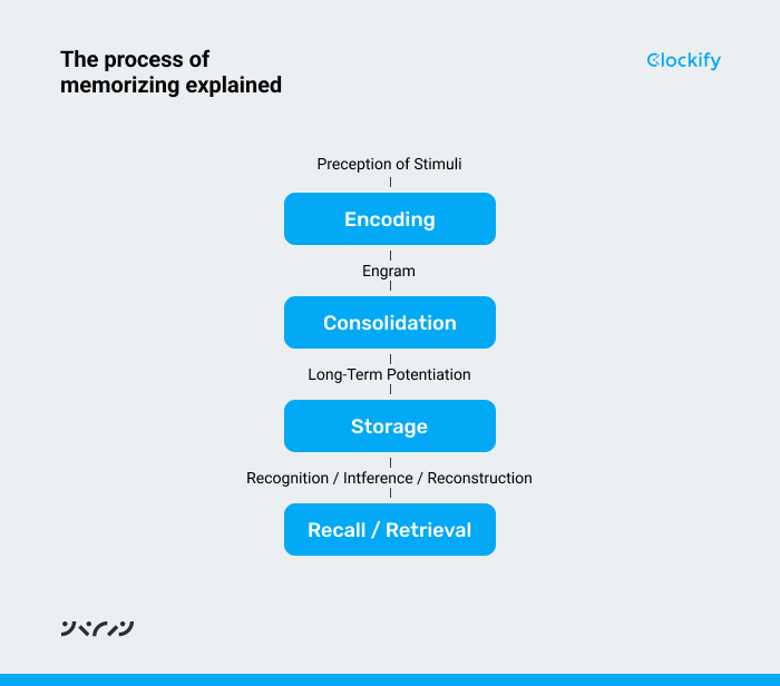 The process of memorizing explained